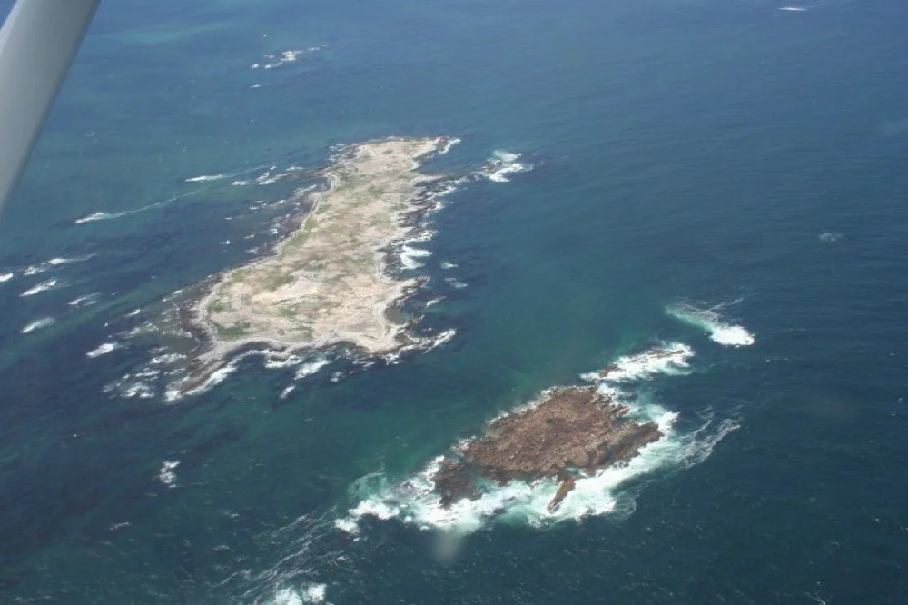 Shark Cage Dive Cape Town